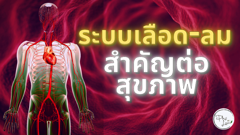 ระบบเลือด-ลม สำคัญต่อสุขภาพ