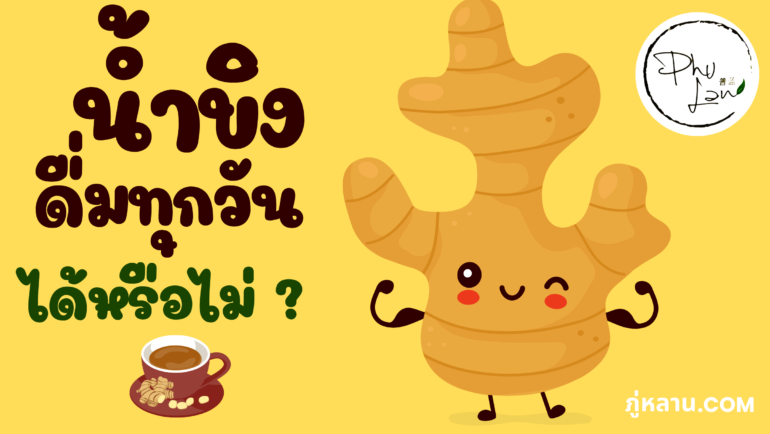 น้ำขิง ดื่มทุกวันได้หรือไม่?