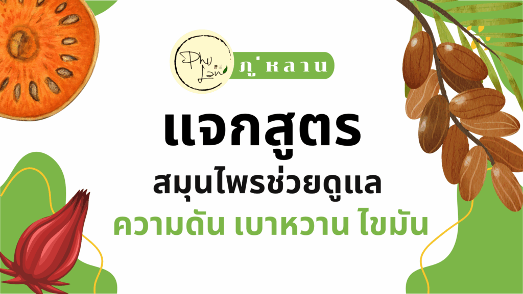 สูตรสมุนไพรช่วยดูแล "ความดัน เบาหวาน ไขมัน" พร้อมบำรุงเลือด