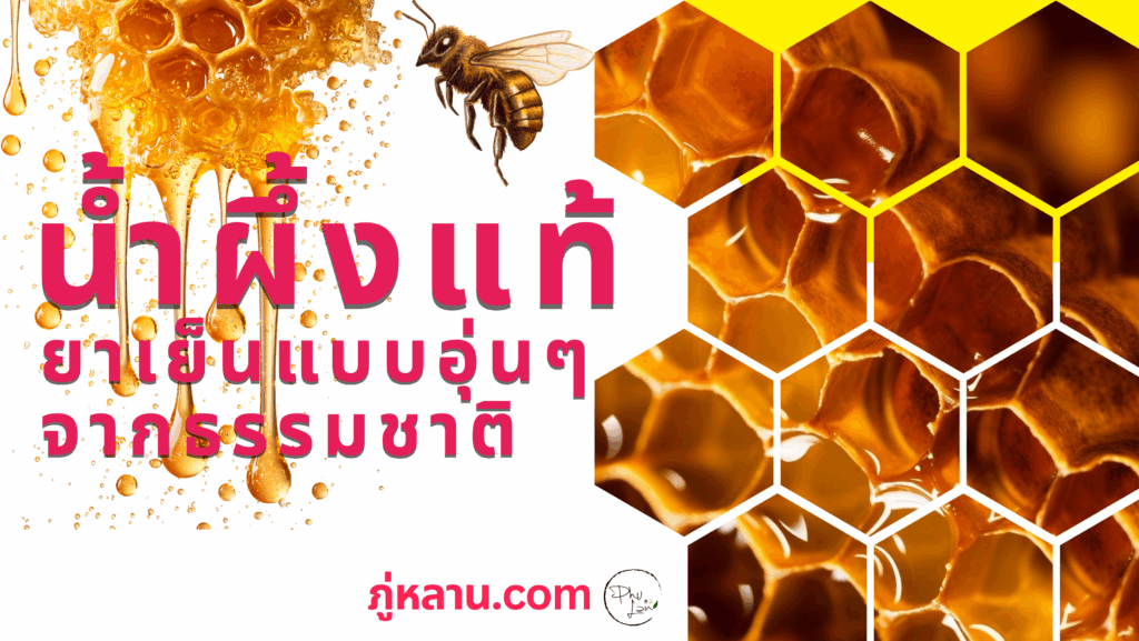 น้ำผึ้งแท้...ยาเย็นแบบอุ่น ๆ จากธรรมชาติ