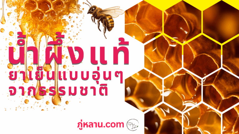 น้ำผึ้งแท้…ยาเย็นแบบอุ่น ๆ จากธรรมชาติ