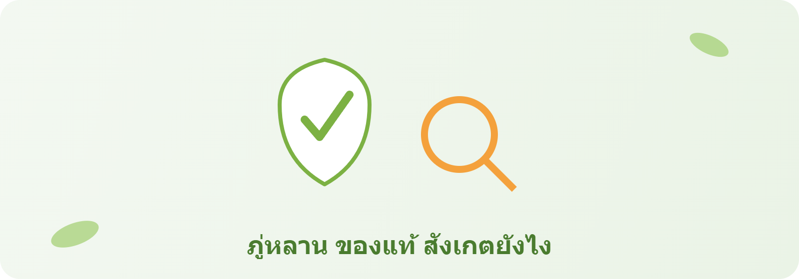 ภู่หลาน ของแท้ สังเกตยังไง ก่อนโอนเงินต้องเช็คอะไรบ้าง