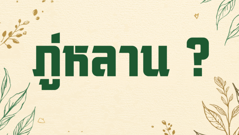 ภู่หลานคืออะไร คำตอบฉบับเข้าใจง่ายก่อนเริ่มดื่ม
