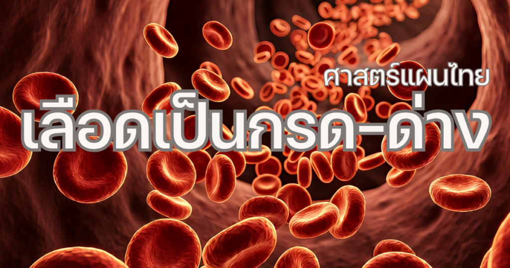 เลือดเป็นกรด-ด่าง คืออะไร ตามแนวคิดแผนไทย