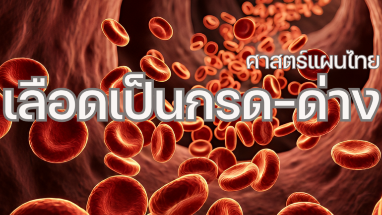 เลือดเป็นกรด-ด่าง คืออะไร ตามแนวคิดแผนไทย